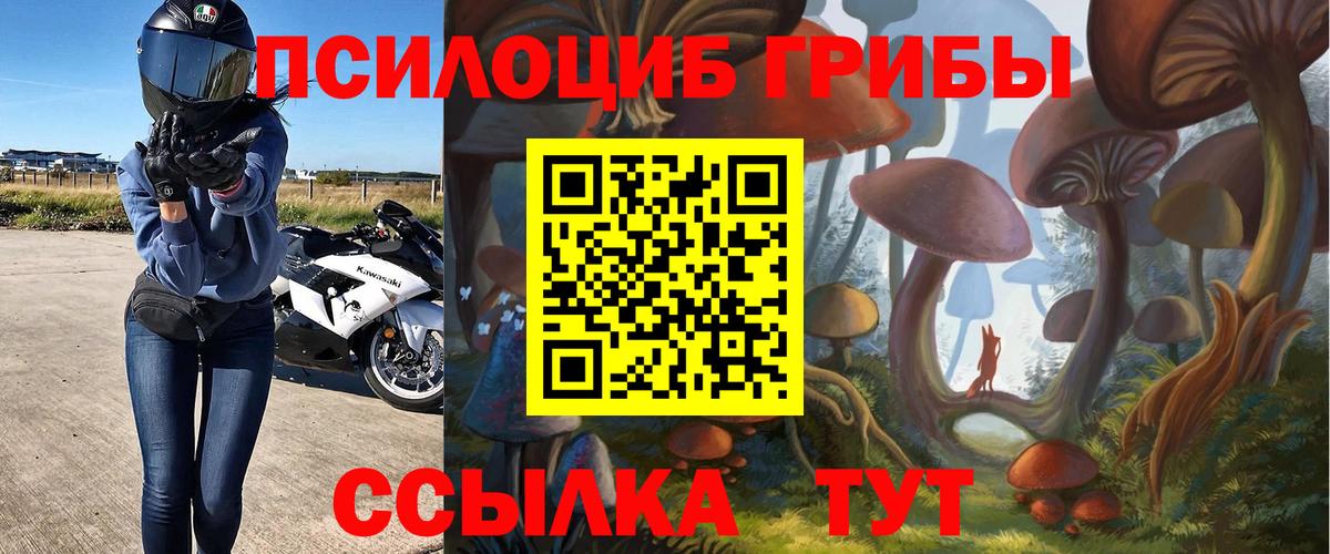 Галлюциногенные грибы Psilocybe  Вход с VPN  Галлюциногенные грибы ЛСД  Кашира 